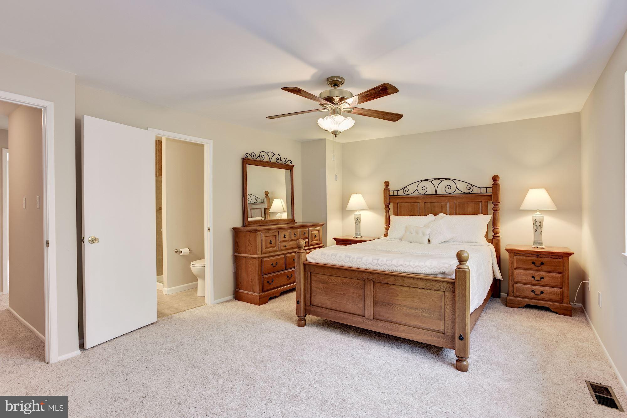 9729 Early Spring Way Columbia, MD 21046 - Photo 14 of 29 Master Suite