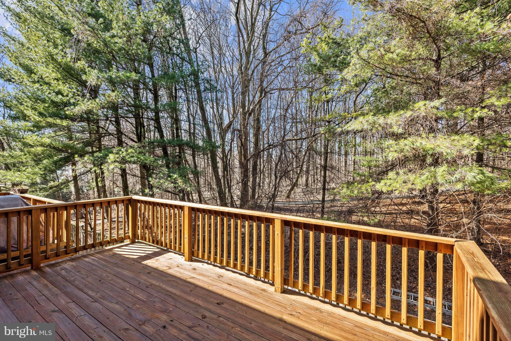 9729 Early Spring Way Columbia, MD 21046 - Photo 27 of 29 Deck