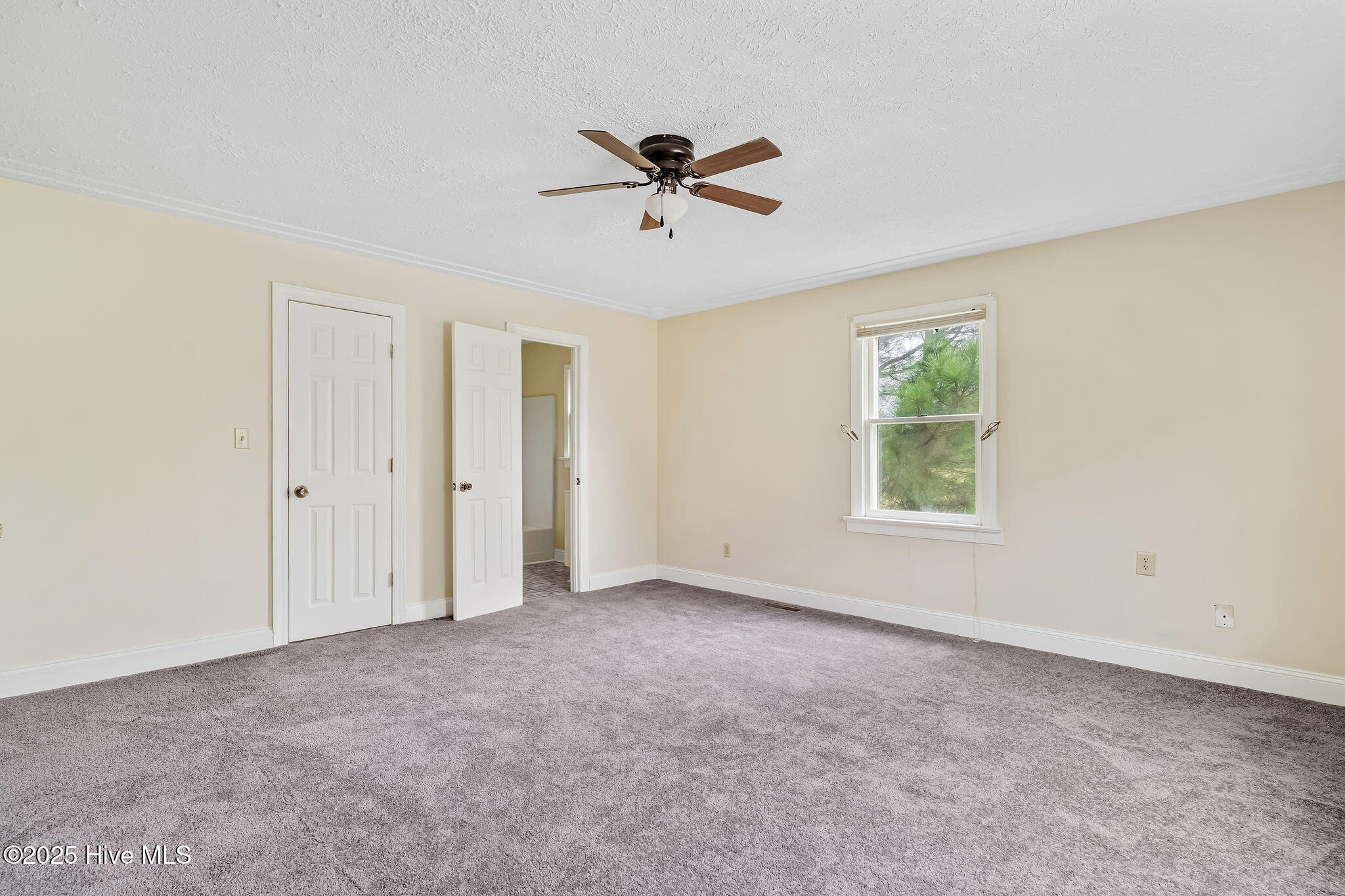 293 Willie Hatcher Road Chinquapin, NC 28521 - Photo 13 of 27 293williehatcher14