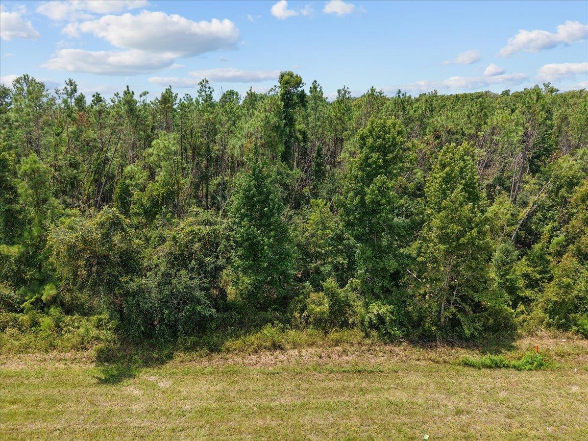 0 Hwy 19 S Perry Perry, FL 32348 - Photo 2 of 15