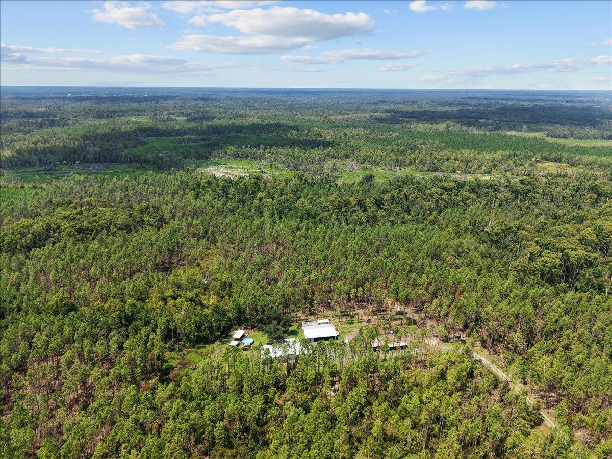 0 Hwy 19 S Perry Perry, FL 32348 - Photo 4 of 15