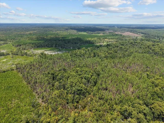 $148,500 | 0 Hwy 19 S Perry, Perry, FL 32348