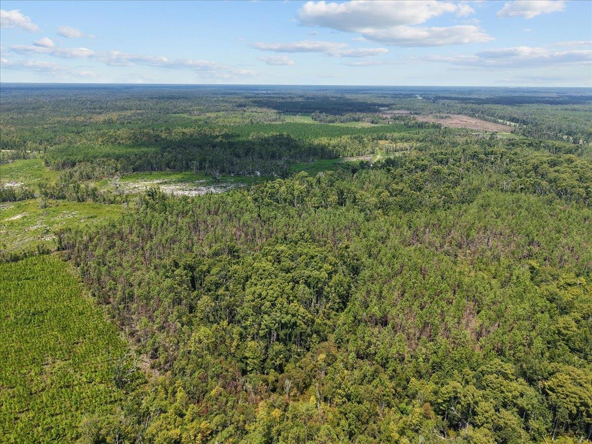 0 Hwy 19 S Perry Perry, FL 32348 - Photo 6 of 15