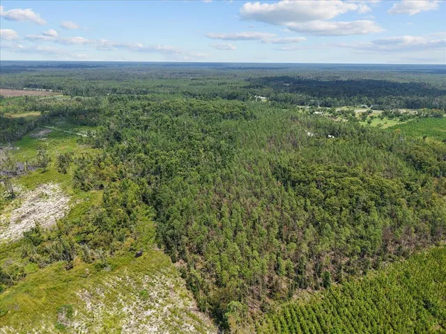 $148,500 | 0 Hwy 19 S Perry, Perry, FL 32348