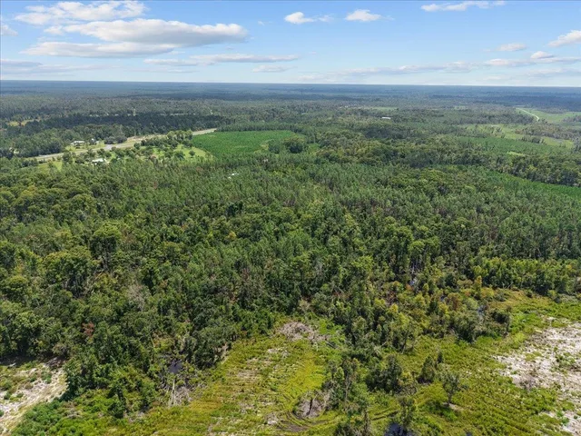 $148,500 | 0 Hwy 19 S Perry, Perry, FL 32348