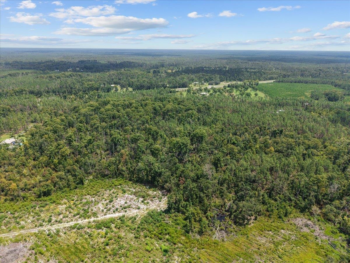 0 Hwy 19 S Perry Perry, FL 32348 - Photo 9 of 15