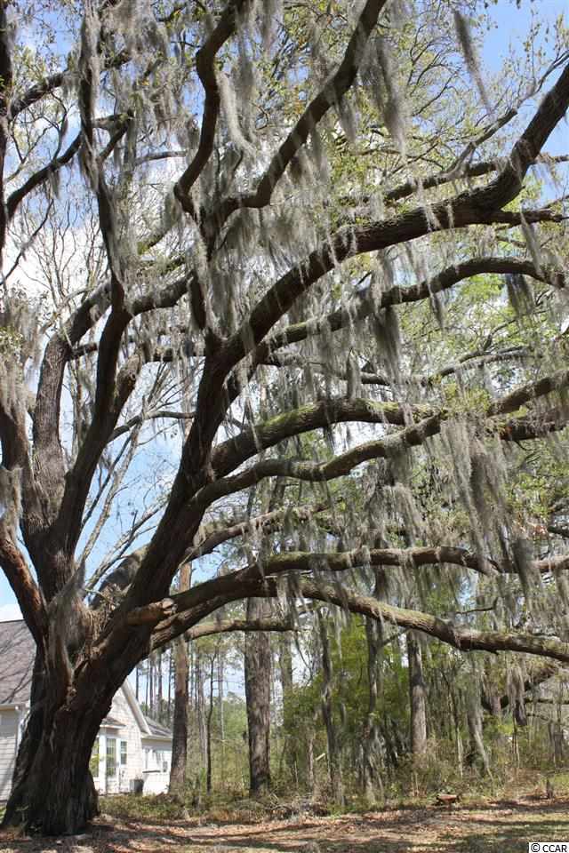 610 Beaver Pond Road Conway, SC 29526 - Photo 21 of 25 Gallery Image 21