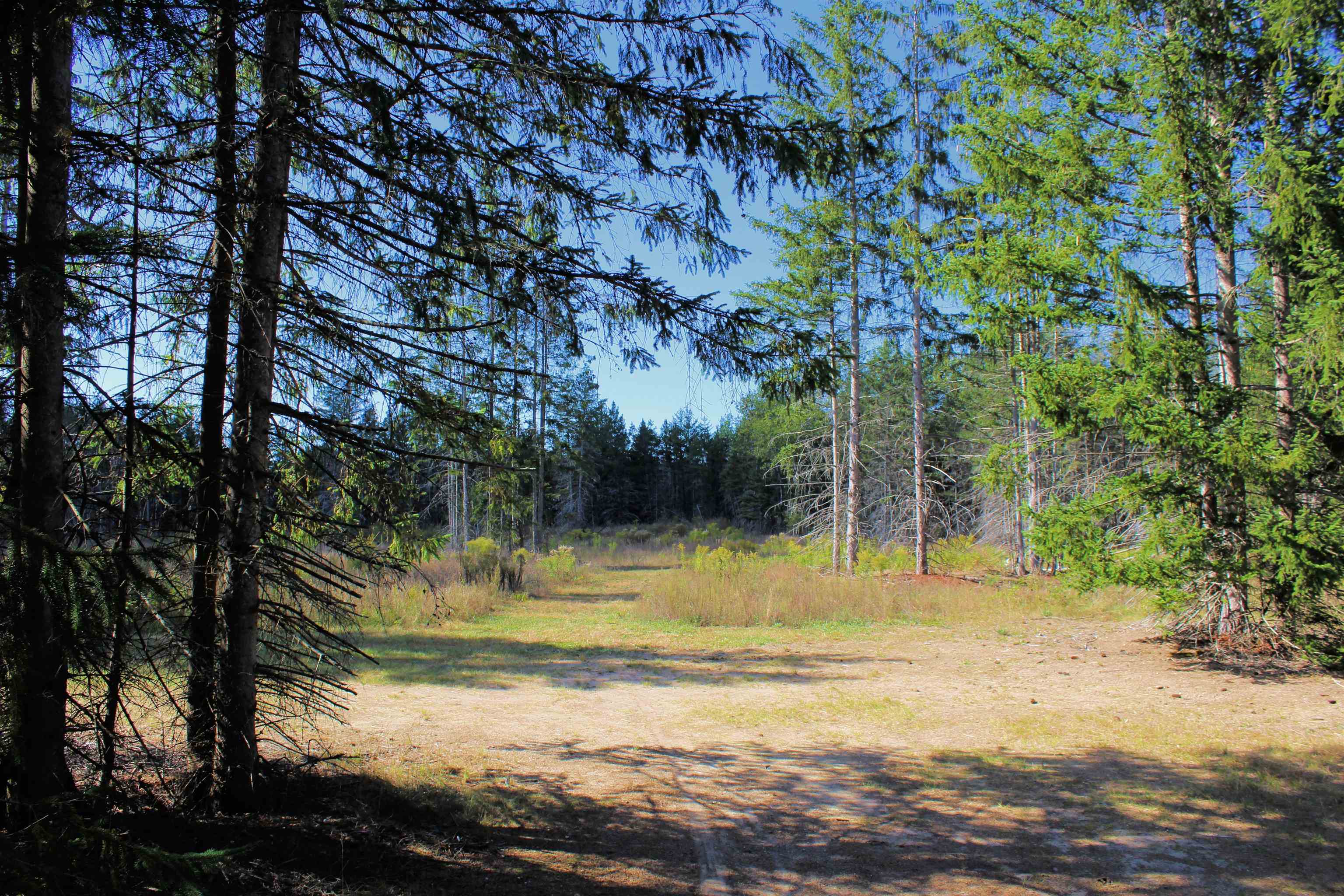 0 North 11th Road Mesick, MI 49668 - Photo 9 of 37 1927704-16540e59-5603-48d5-b7ce-d6eced5ad0bb.JPG