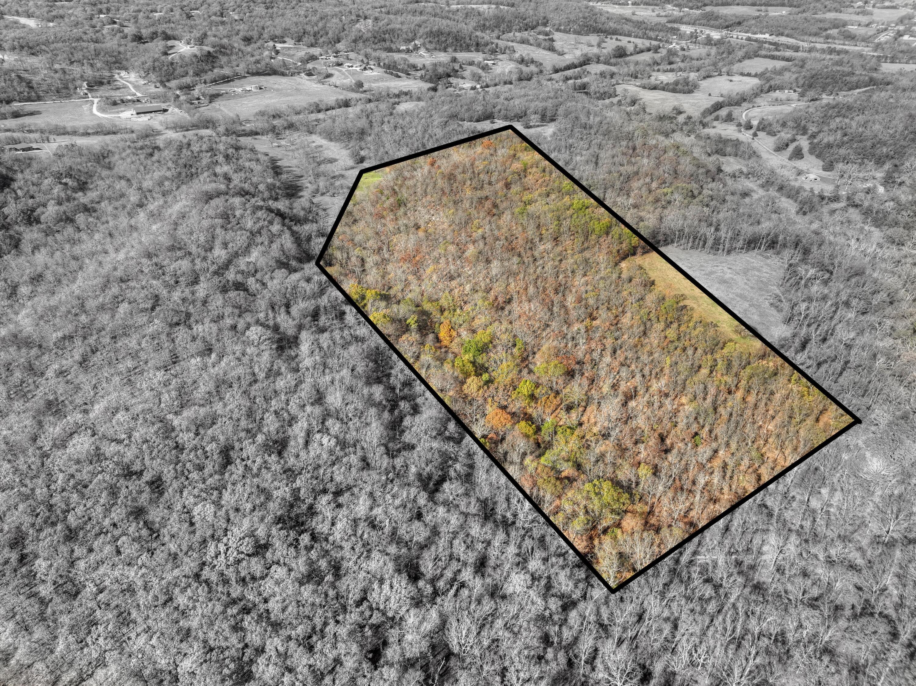 Xx Miser Road Noel, MO 64854 - Photo 1 of 1 010s