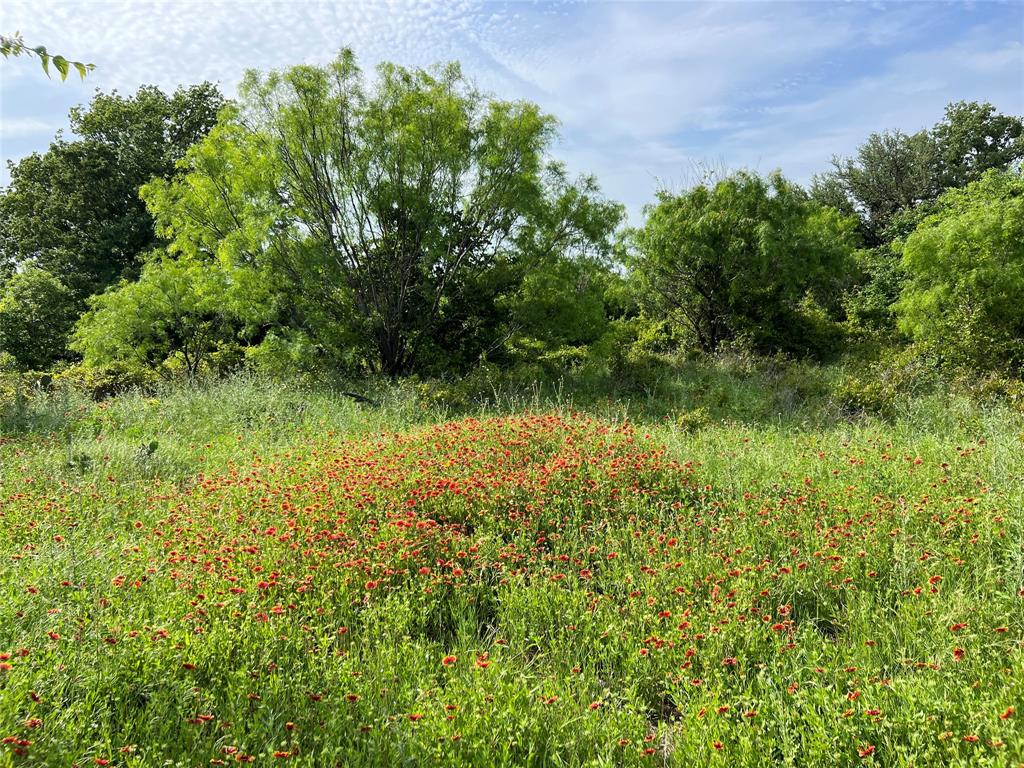 137 County Road 137 Road Cisco, TX 76437 - Photo 5 of 12