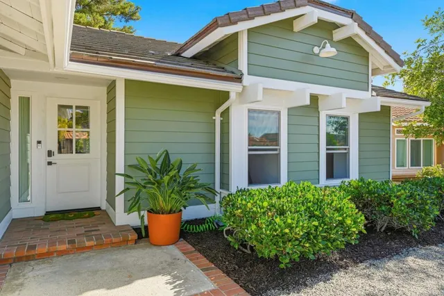 a potted plant sitting in front of a house