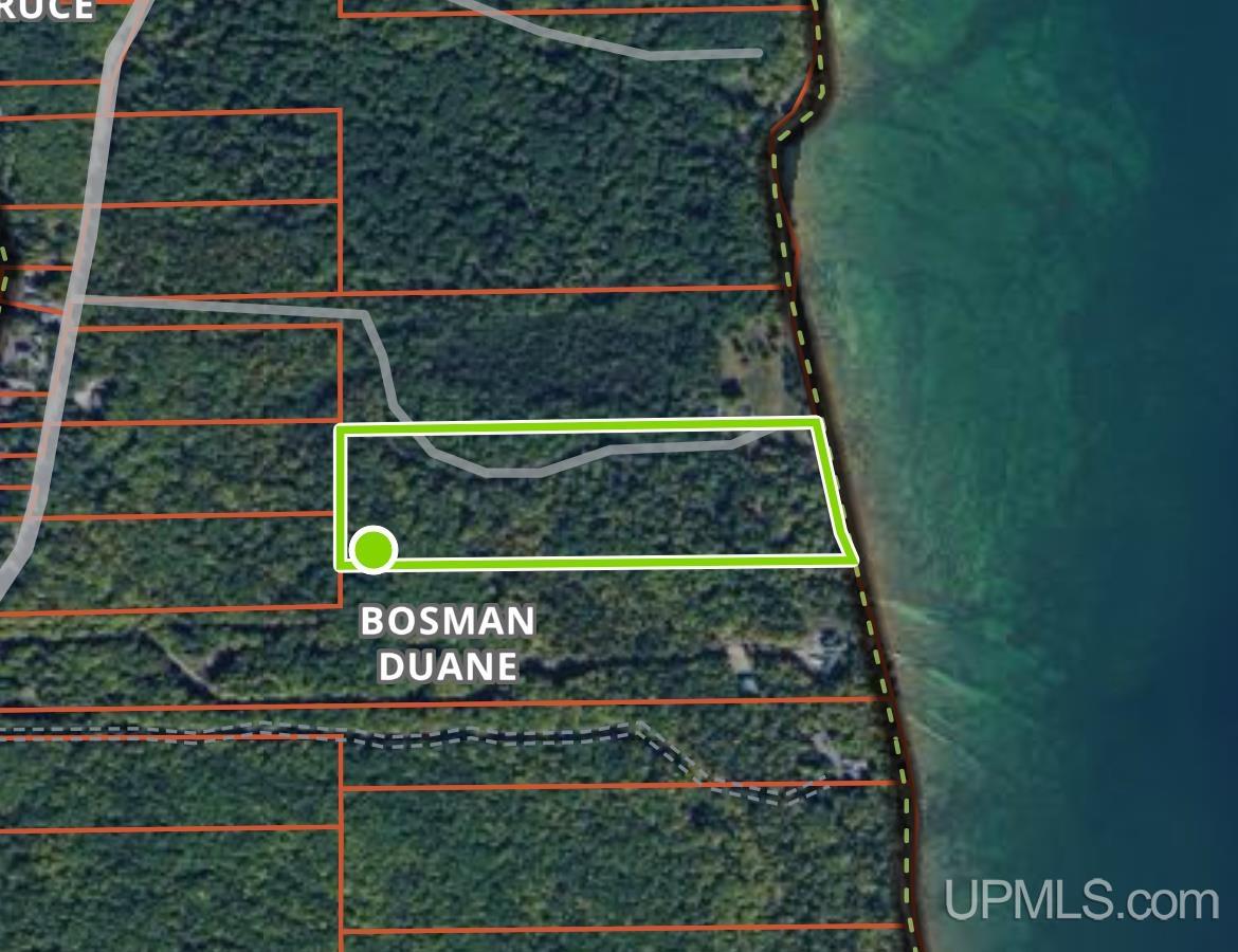 Tbd Lighthouse Road Big Bay, MI 49808 - Photo 12 of 12