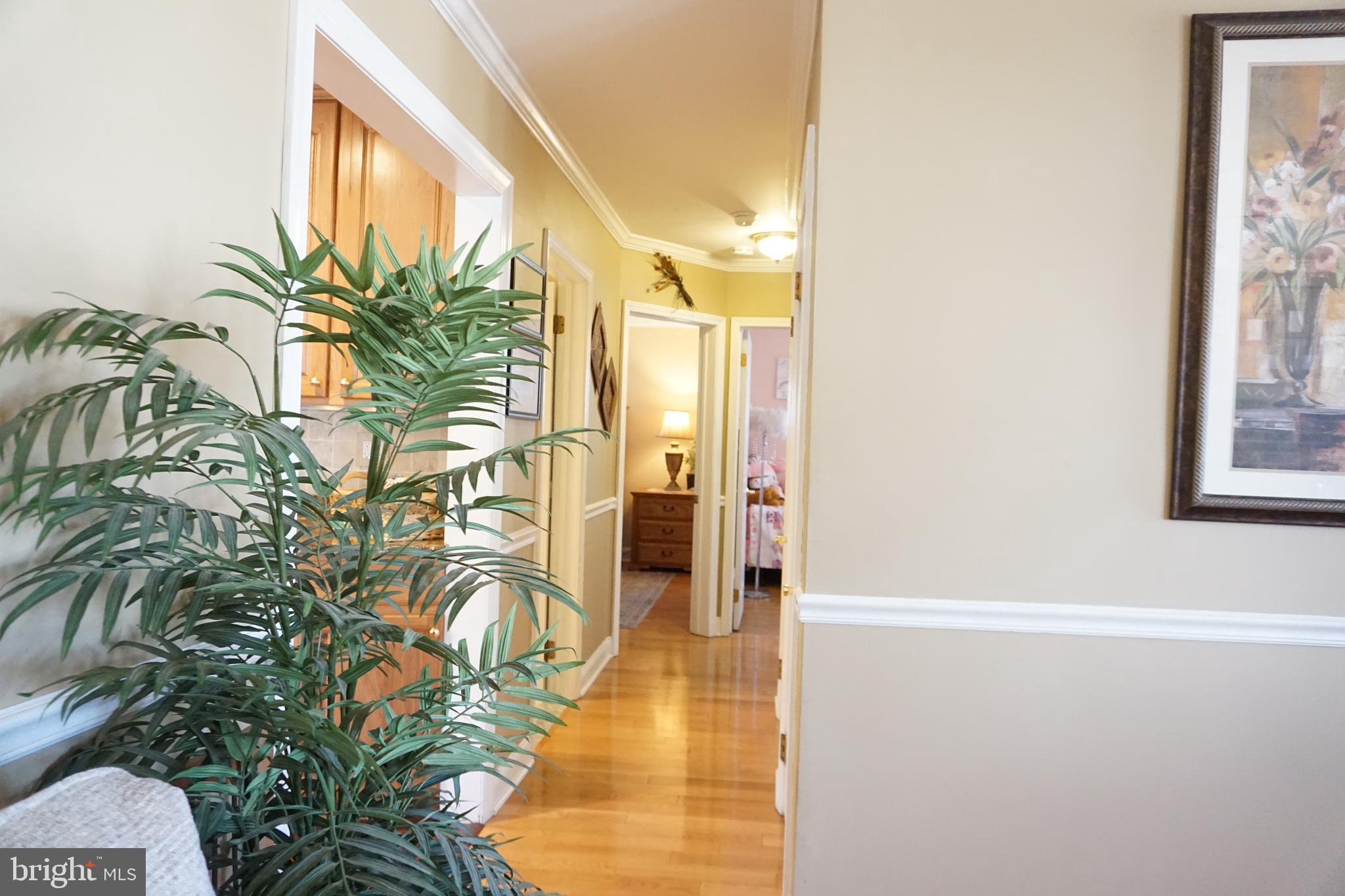 16 Lanci Road Maple Shade, NJ 08052 - Photo 15 of 27