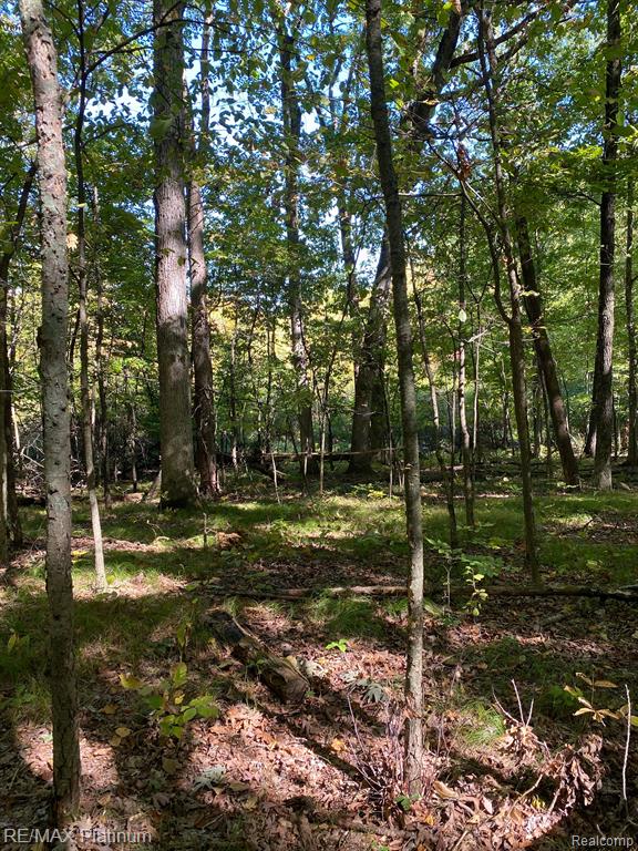 9532 Scully Road Whitmore Lake, MI 48189 - Photo 26 of 27