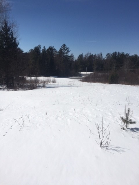 0 Morel Road Dalton, NH 03598 - Photo 1 of 4