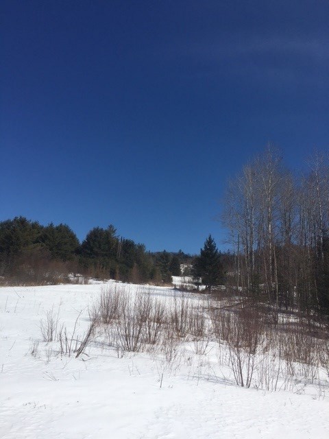 0 Morel Road Dalton, NH 03598 - Photo 3 of 4