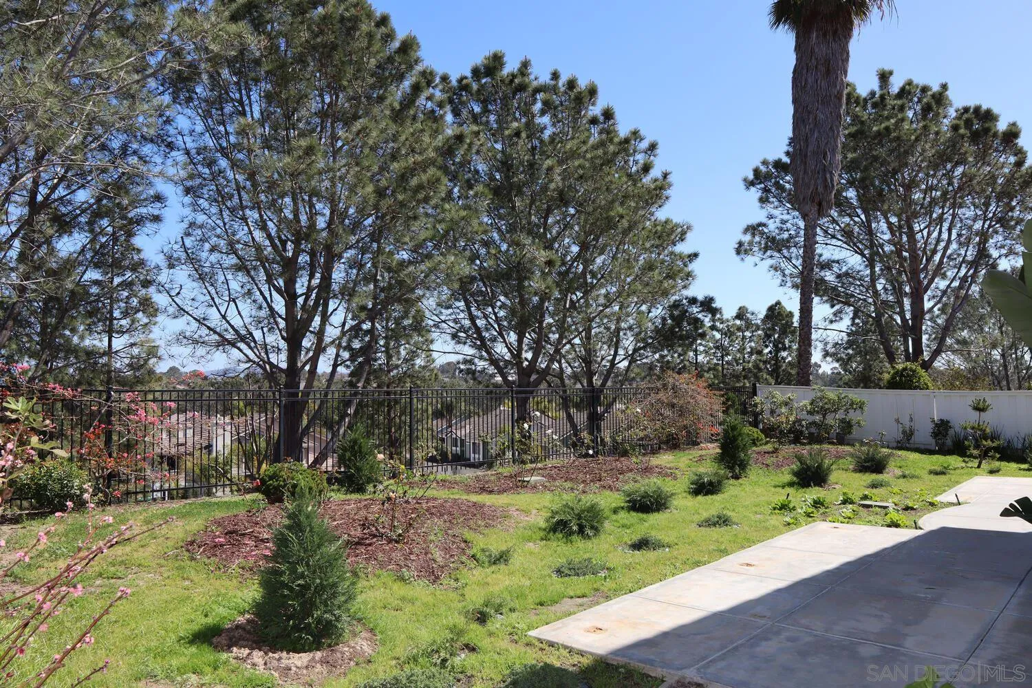 13375 Roxton Circle San Diego, CA 92130 - Photo 28 of 29 a view of backyard with green space