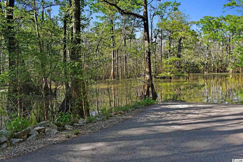 37 Huntersfield Court Georgetown, SC 29440 - Photo 32 of 35 Gallery Image 32