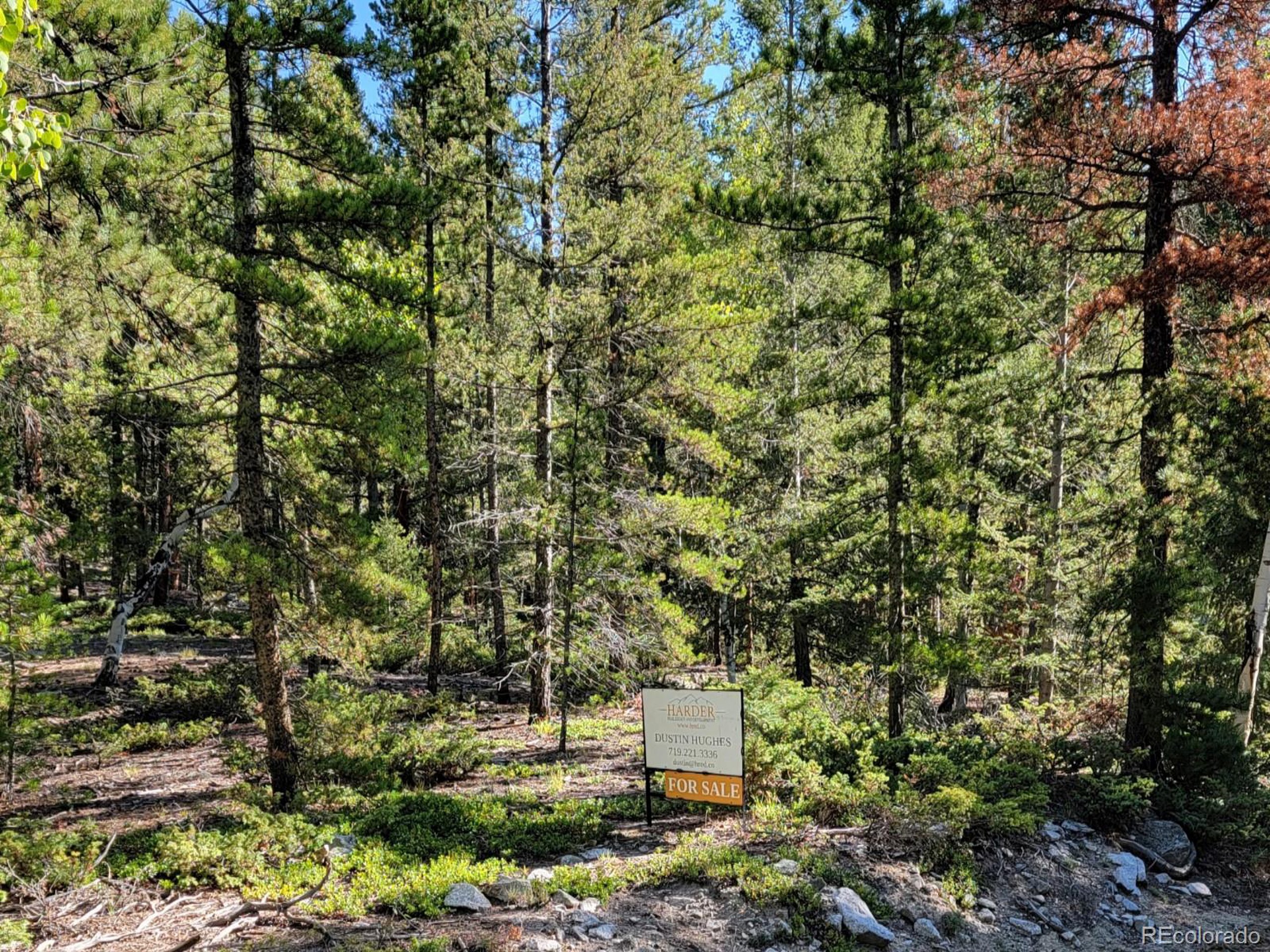292 A County Road Nathrop, CO 81236 - Photo 2 of 7 a view of a forest with large trees