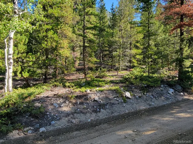 a backyard of a house with lots of plants