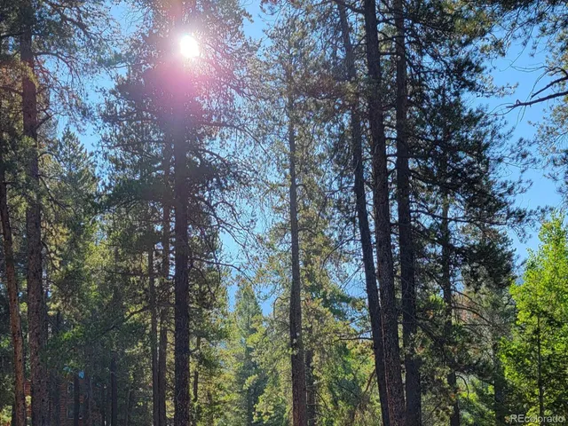 a view of a field of grass and trees