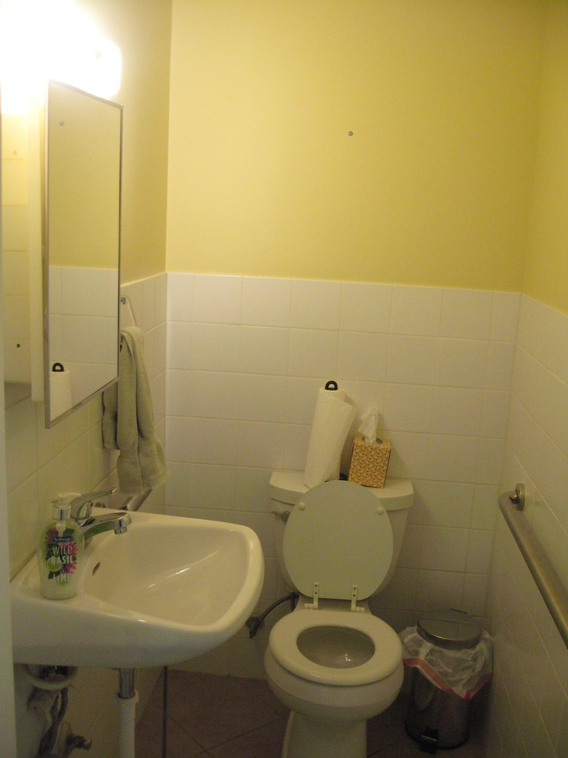 138 West Irving Park Road Wood Dale, IL 60191 - Photo 55 of 63 a bathroom with a sink mirror and toilet