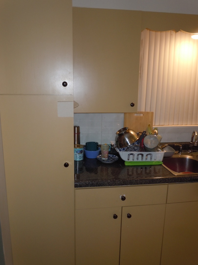 138 West Irving Park Road Wood Dale, IL 60191 - Photo 10 of 63 a kitchen with a sink and cabinets