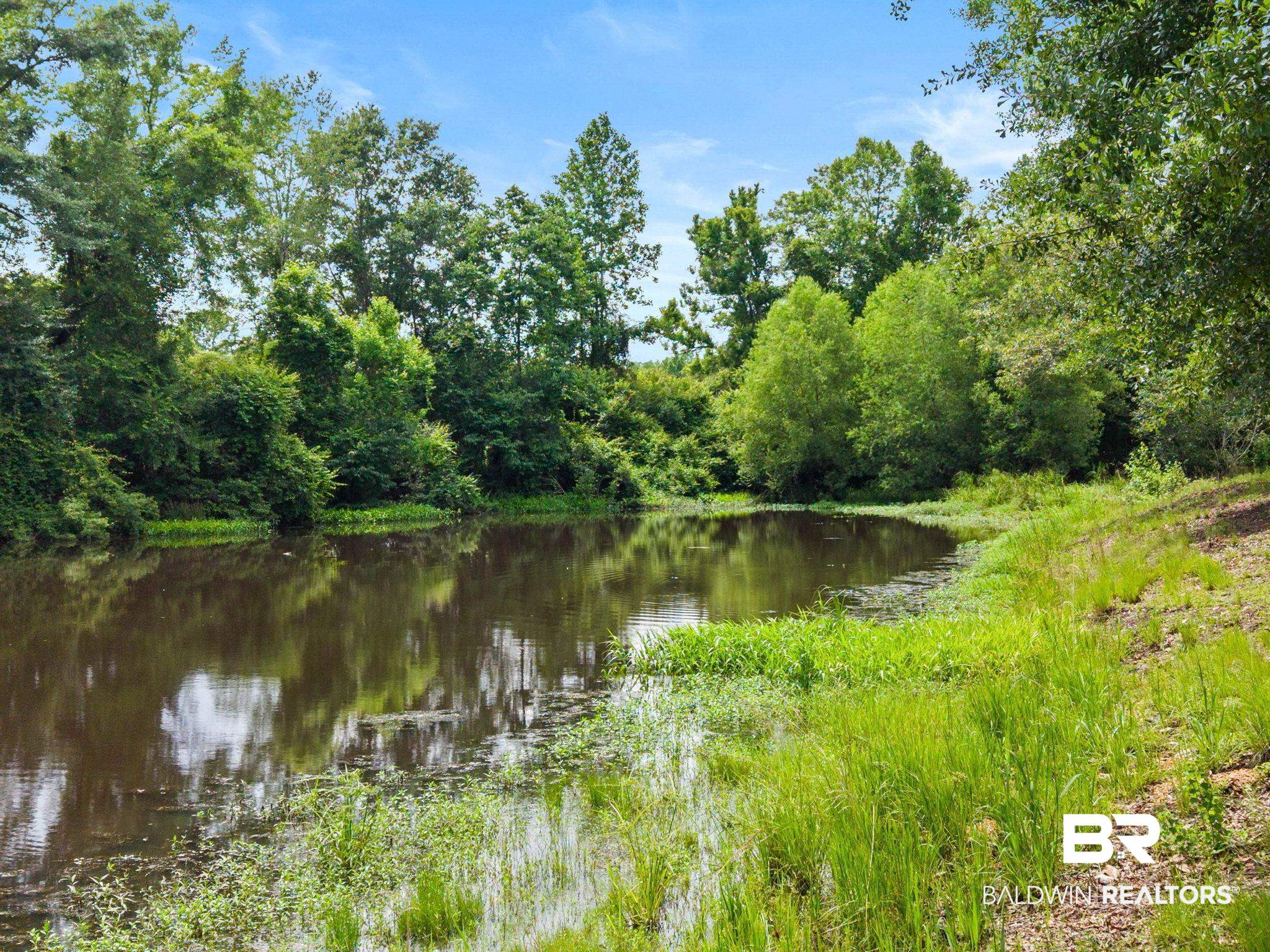 2029 George Lee Road Repton, AL 36475 - Photo 47 of 58 Natural pond surrounded by dense foliage and mature trees