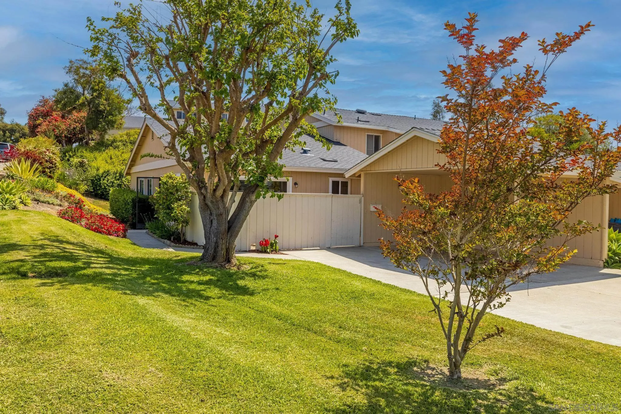 1841 Gatepost Road Encinitas, CA 92024 - Photo 1 of 30 a tree in the garden of a house