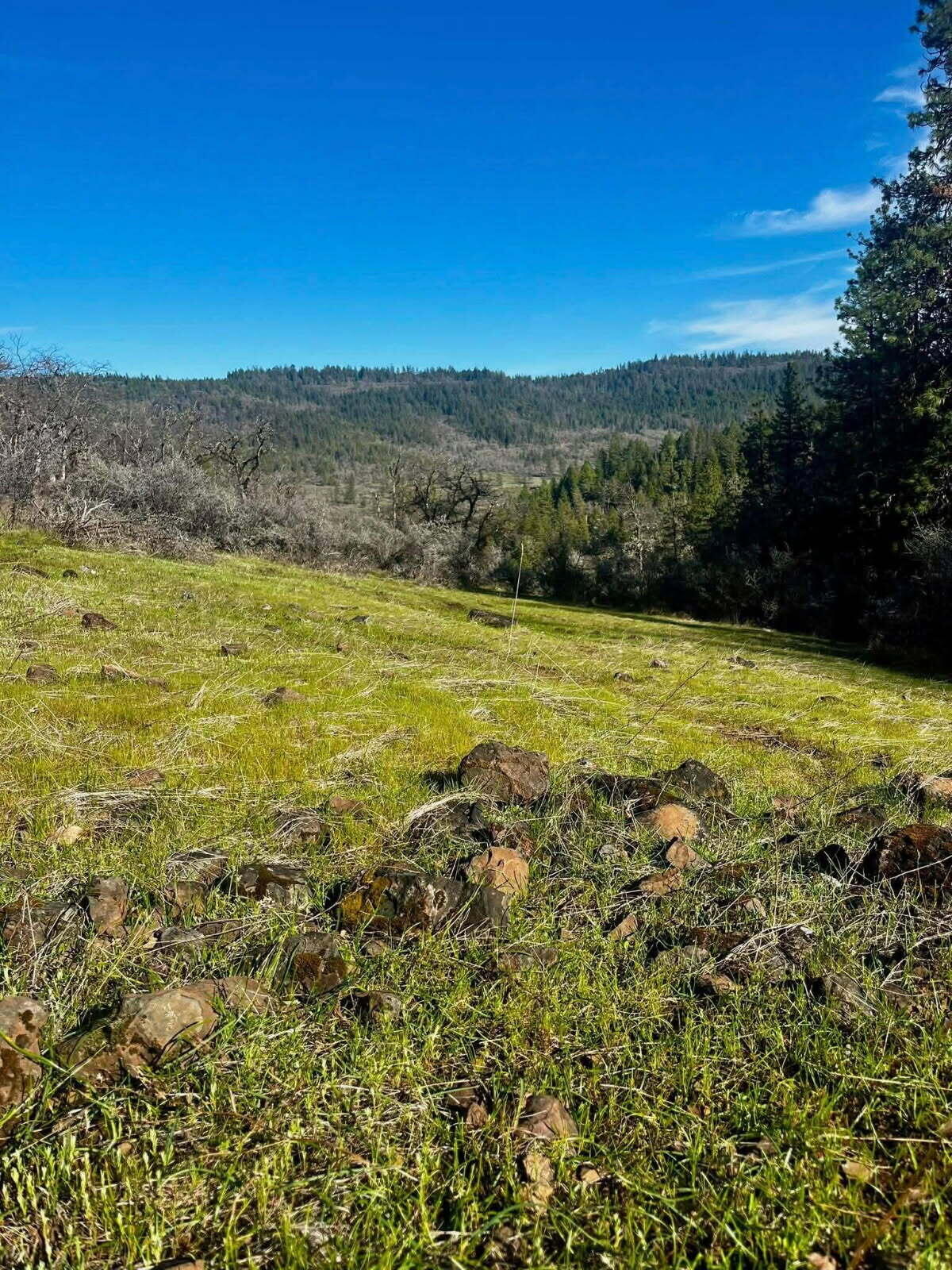 5885 Crowfoot Road Trail, OR 97541 - Photo 33 of 45 Crowfoot 6