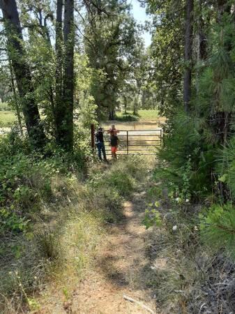 0 Fenders Ferry Road Montgomery Creek, CA 96065 - Photo 2 of 6 a backyard of a house with table and chairs