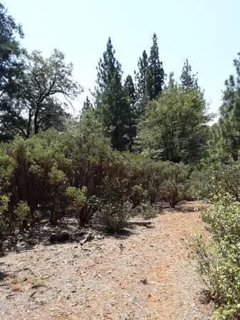 a view of a yard covered in snow