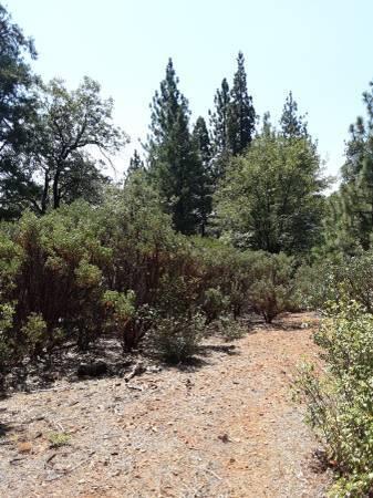 0 Fenders Ferry Road Montgomery Creek, CA 96065 - Photo 6 of 6 a view of a yard covered in snow
