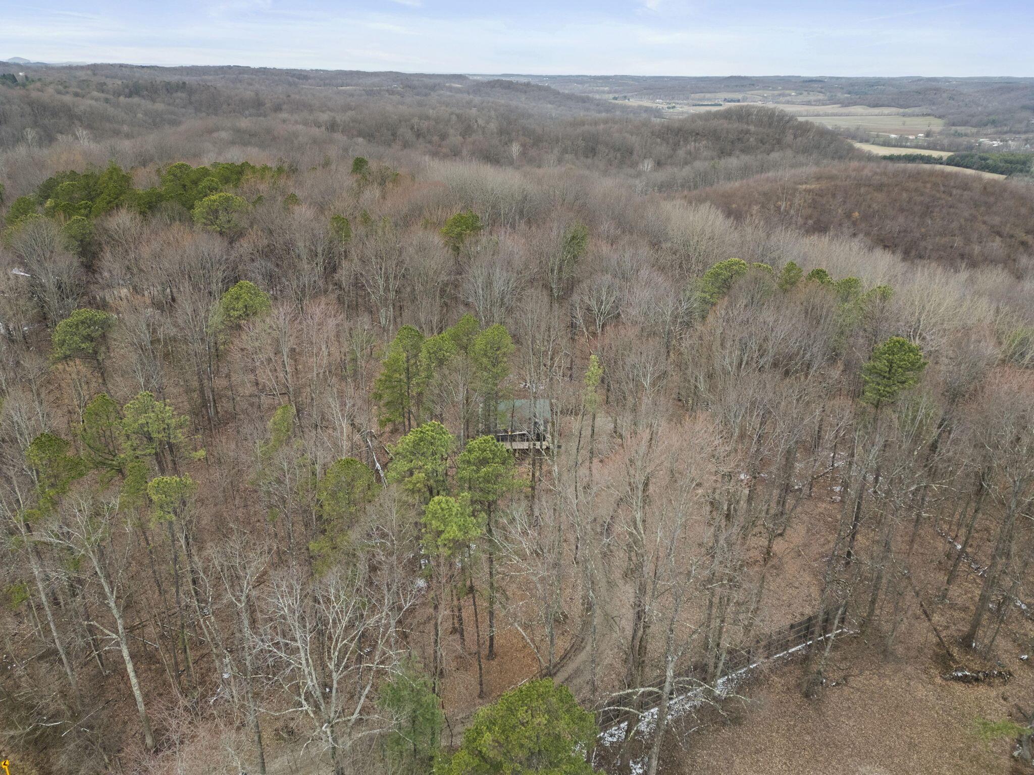20554 Thompson Ridge Road Laurelville, OH 43135 - Photo 30 of 40 Hocking Hills