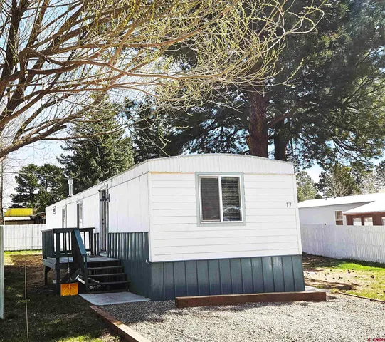 a view of a backyard with a large tree