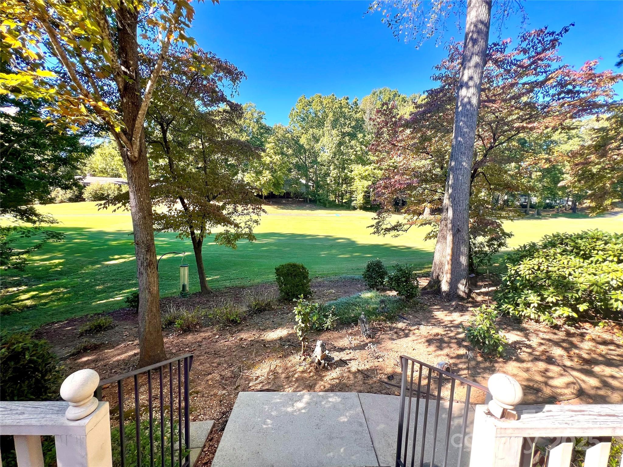 a view of a garden with plants and large trees