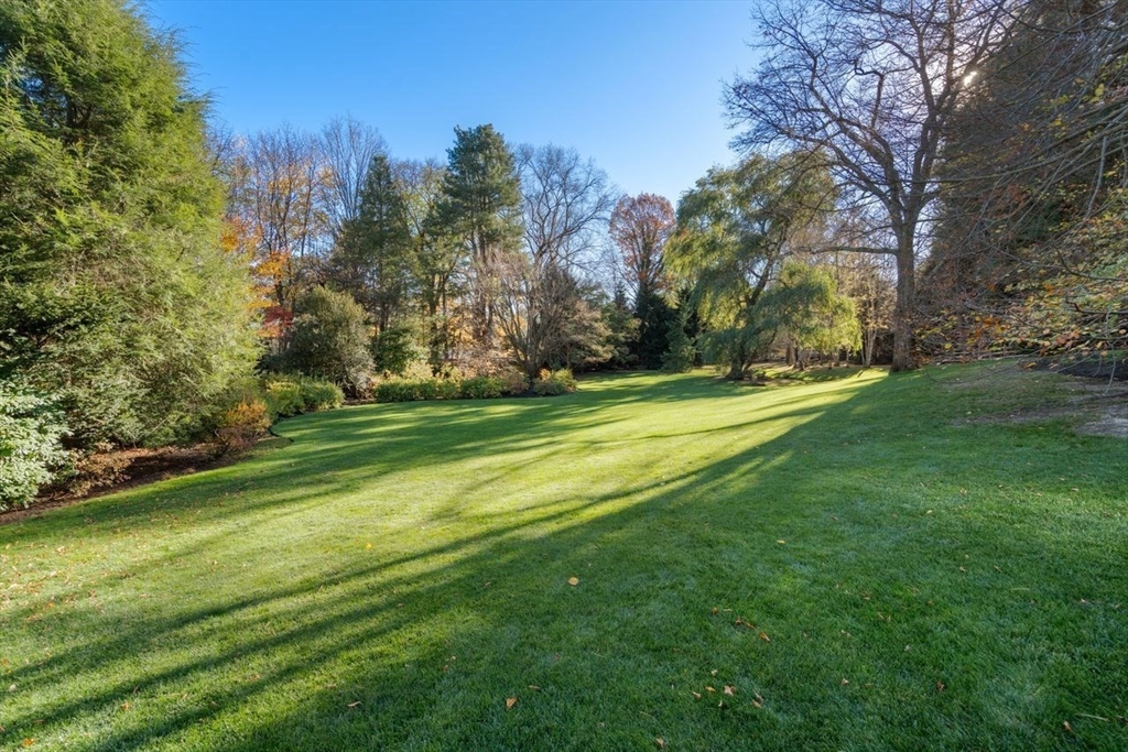 71 Sears Road Brookline, MA 02445 - Photo 12 of 18