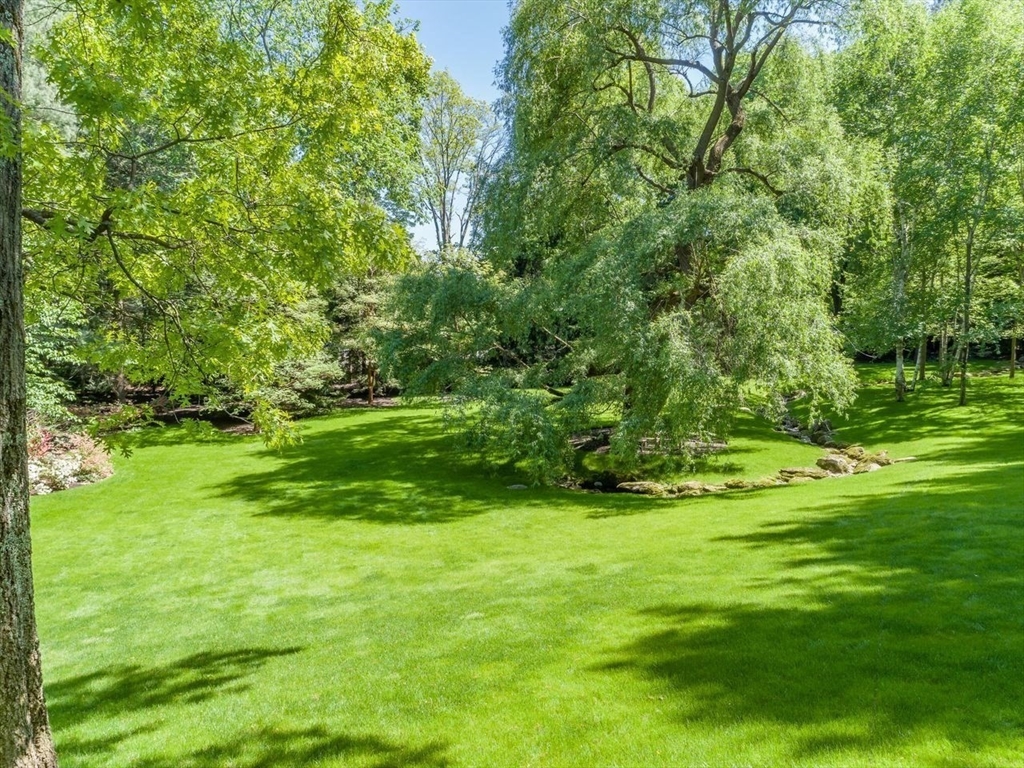 71 Sears Road Brookline, MA 02445 - Photo 14 of 18 a view of a grassy field with trees