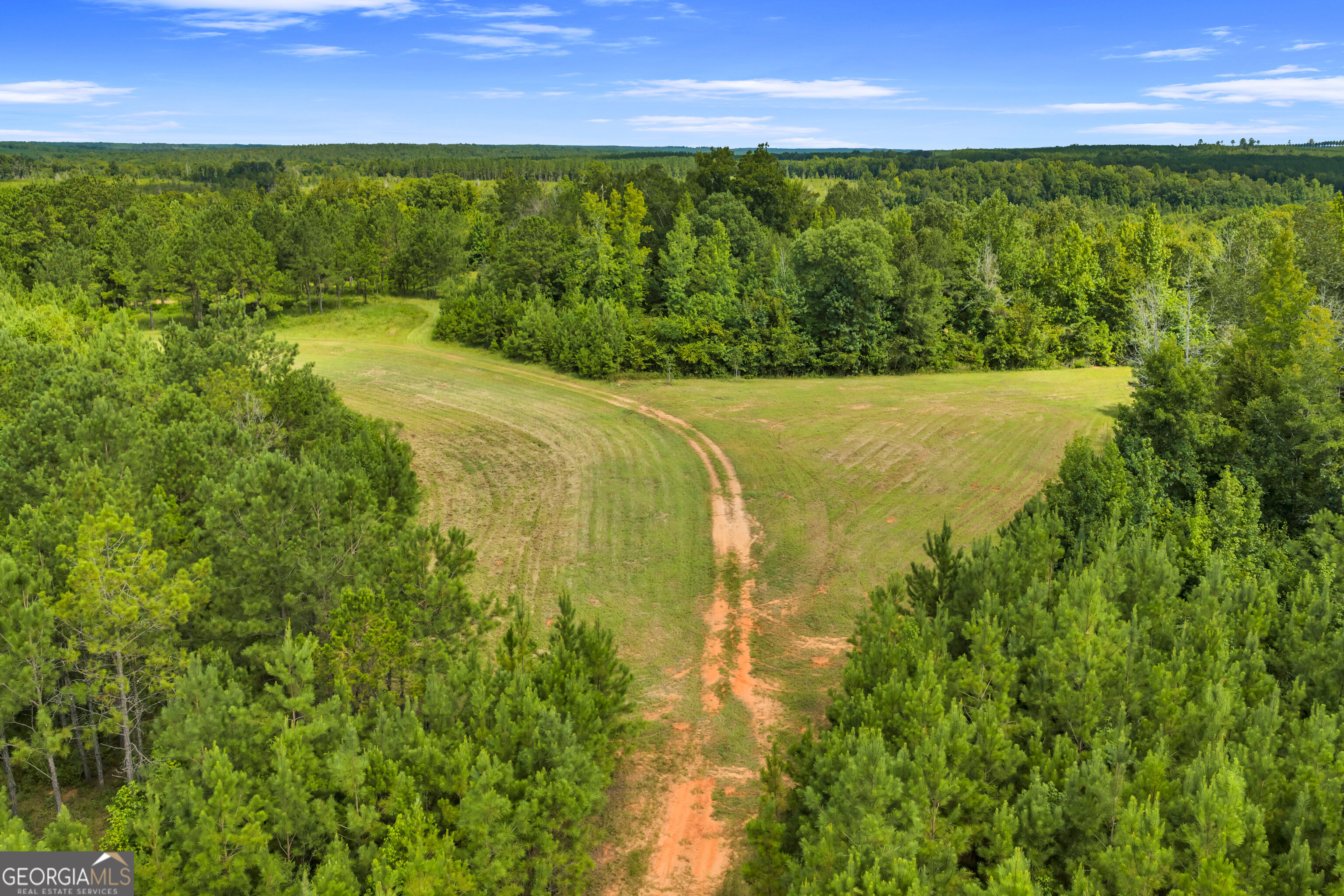 100 Bussey Place Road Morris, GA 39867 - Photo 121 of 174 Gallery Image 121
