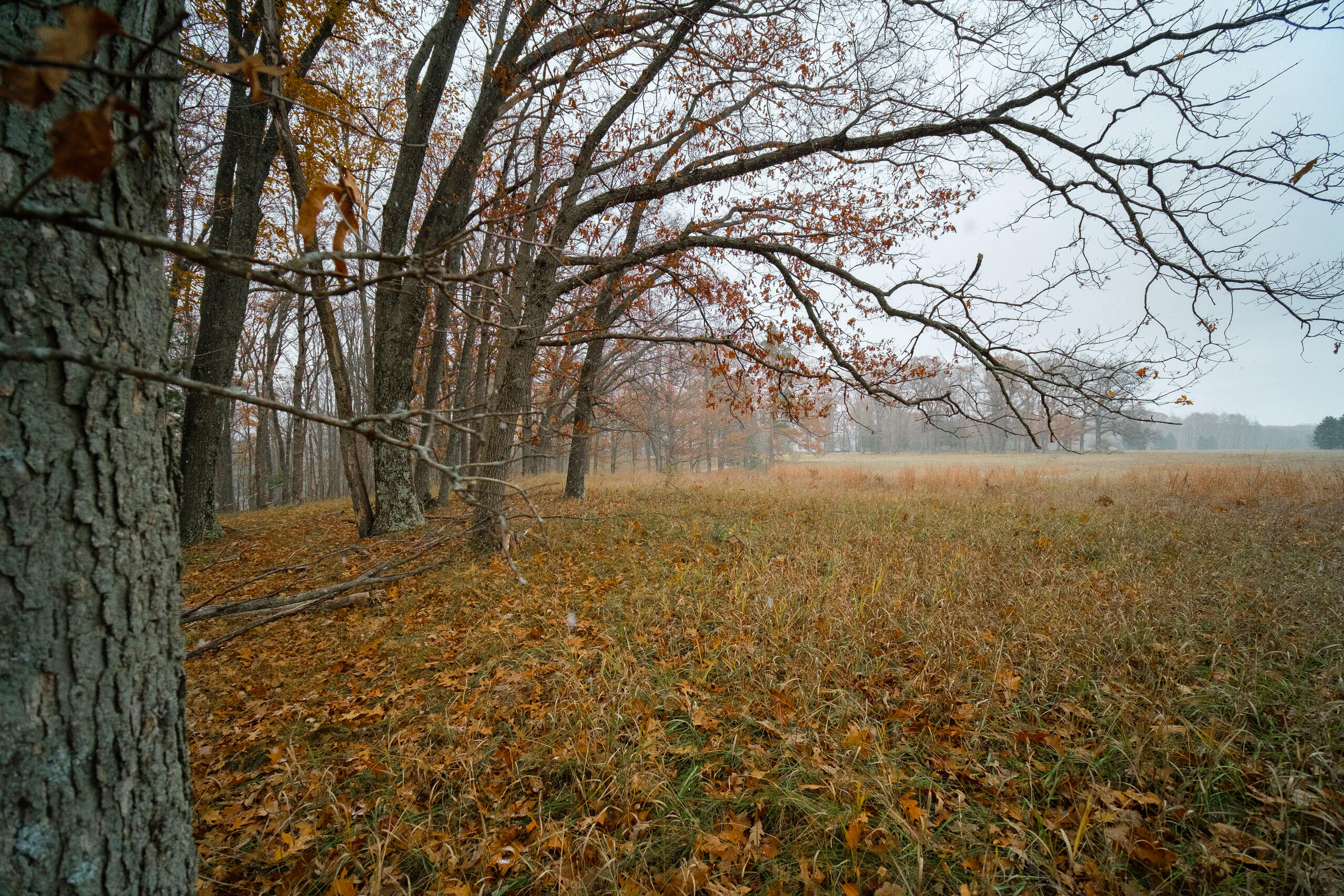 Hunter's Ridge Irons, MI 49644 - Photo 11 of 38 Additional views