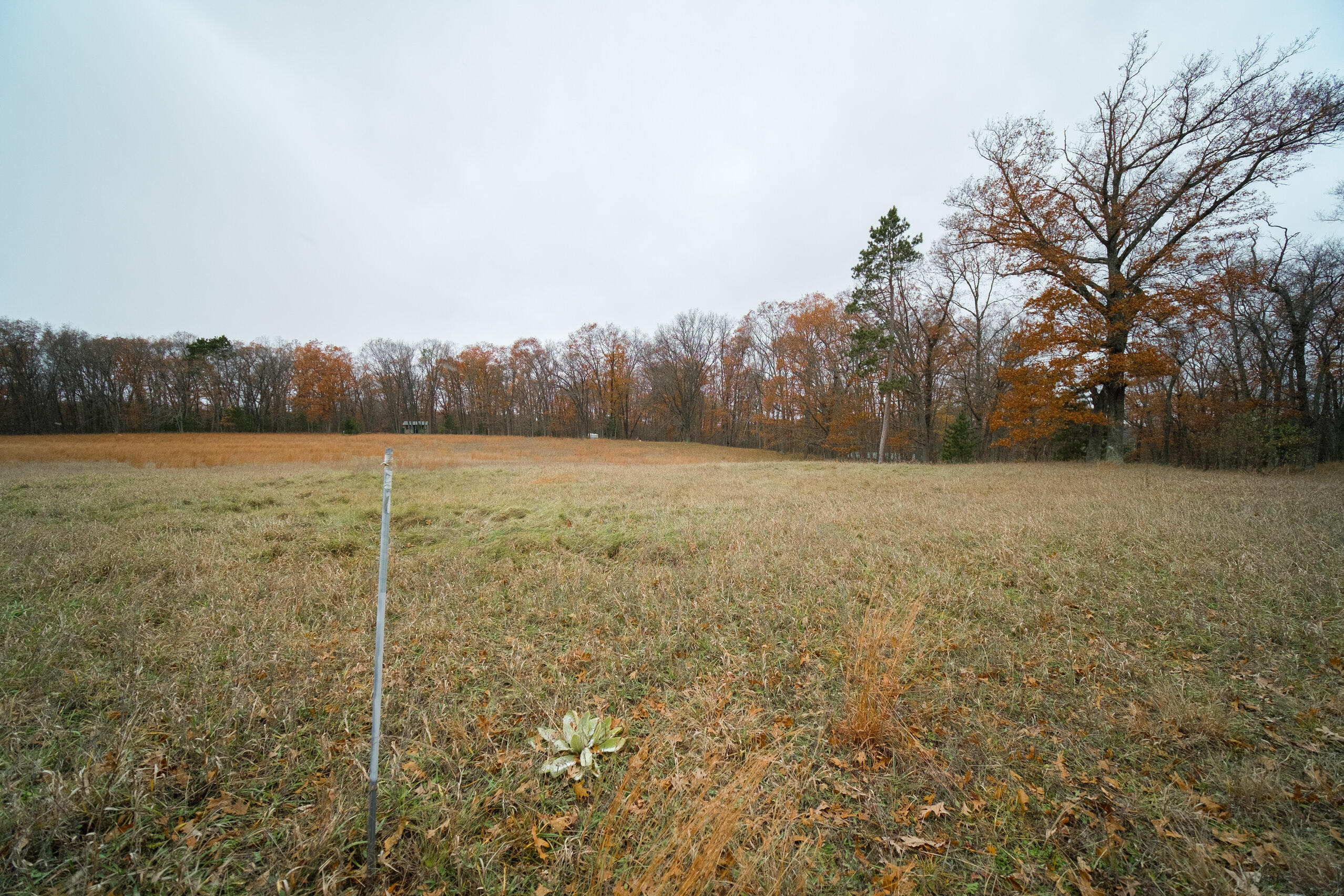 Hunter's Ridge Irons, MI 49644 - Photo 15 of 38 Level building site