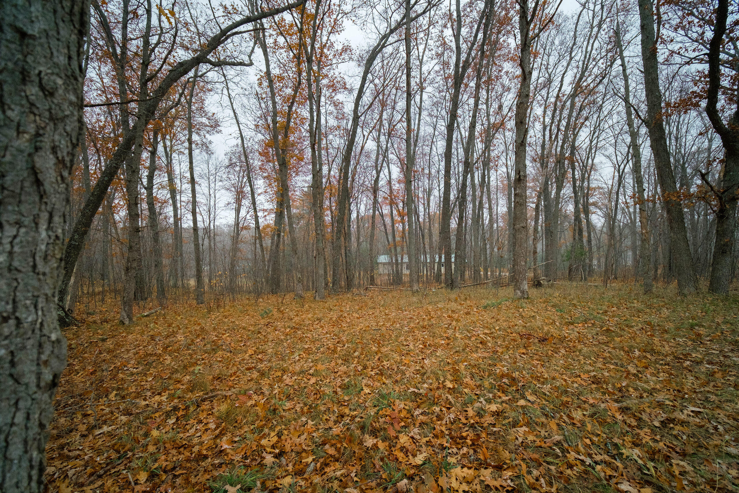 Hunter's Ridge Irons, MI 49644 - Photo 18 of 38 Additional views