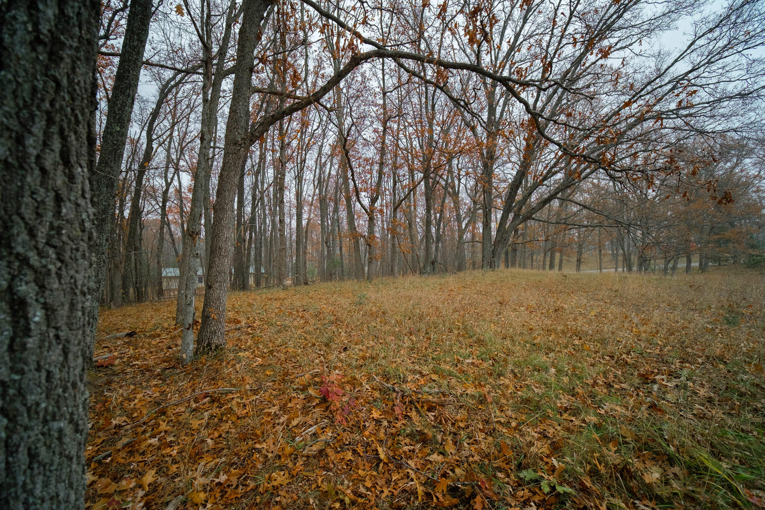 Hunter's Ridge Irons, MI 49644 - Photo 2 of 38 Trees along ridge provide privacy