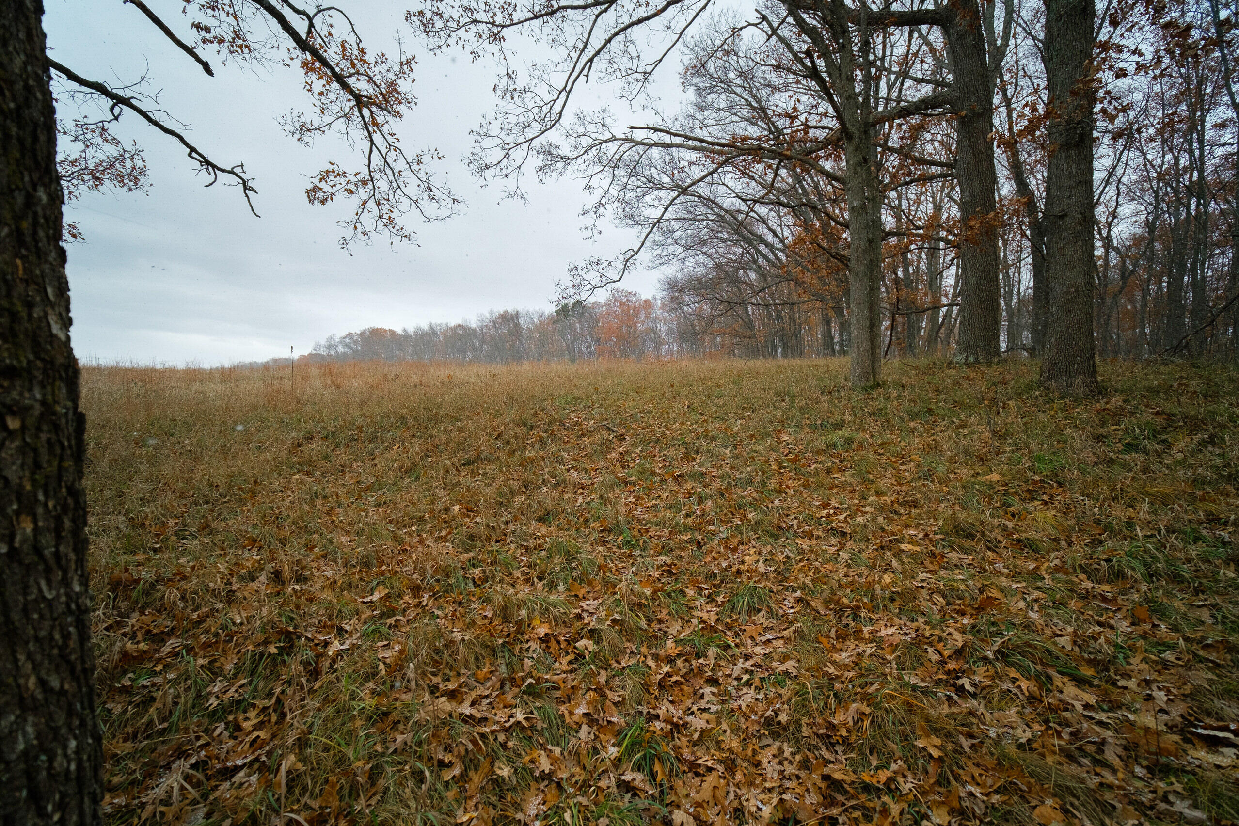 Hunter's Ridge Irons, MI 49644 - Photo 24 of 38 Additional views