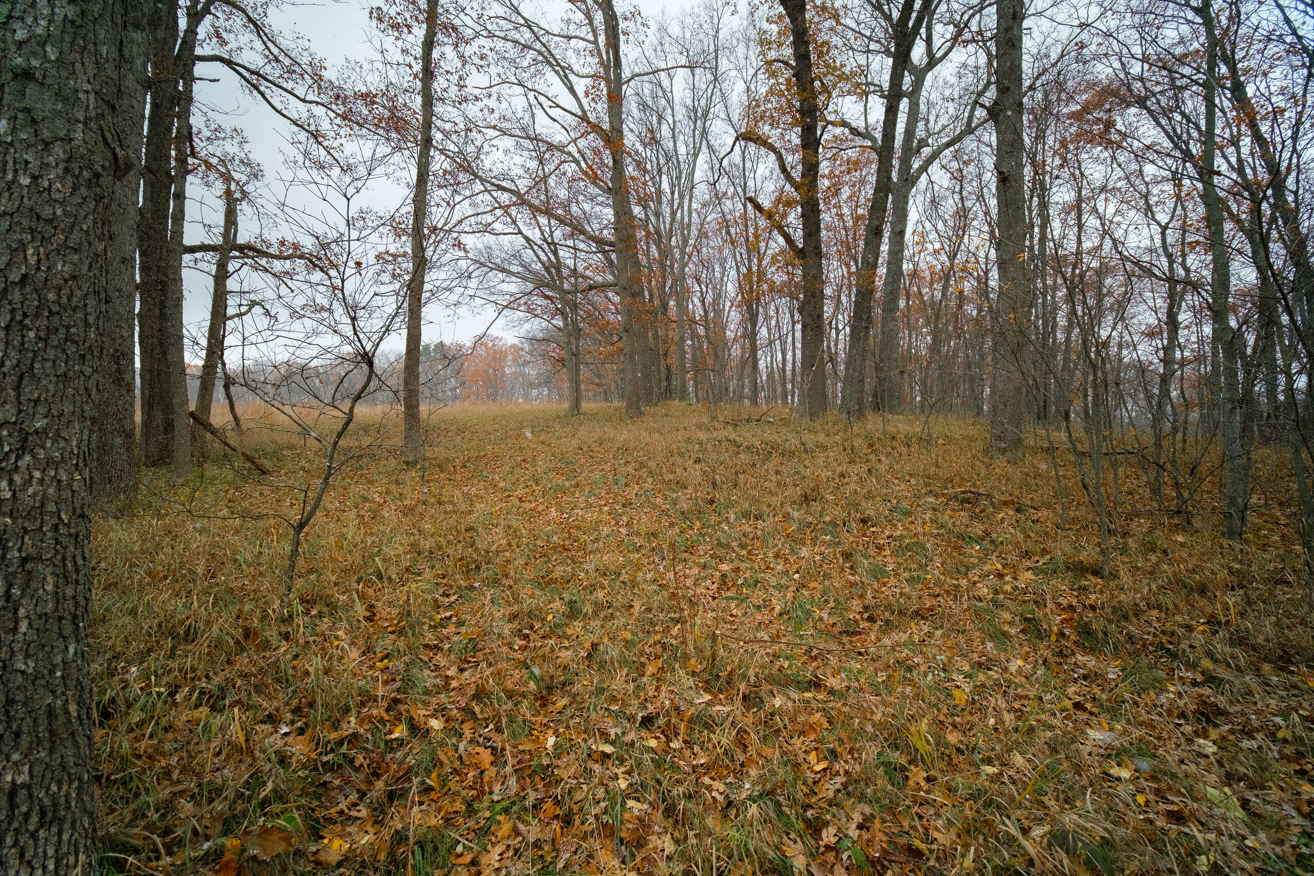 Hunter's Ridge Irons, MI 49644 - Photo 25 of 38 Additional views