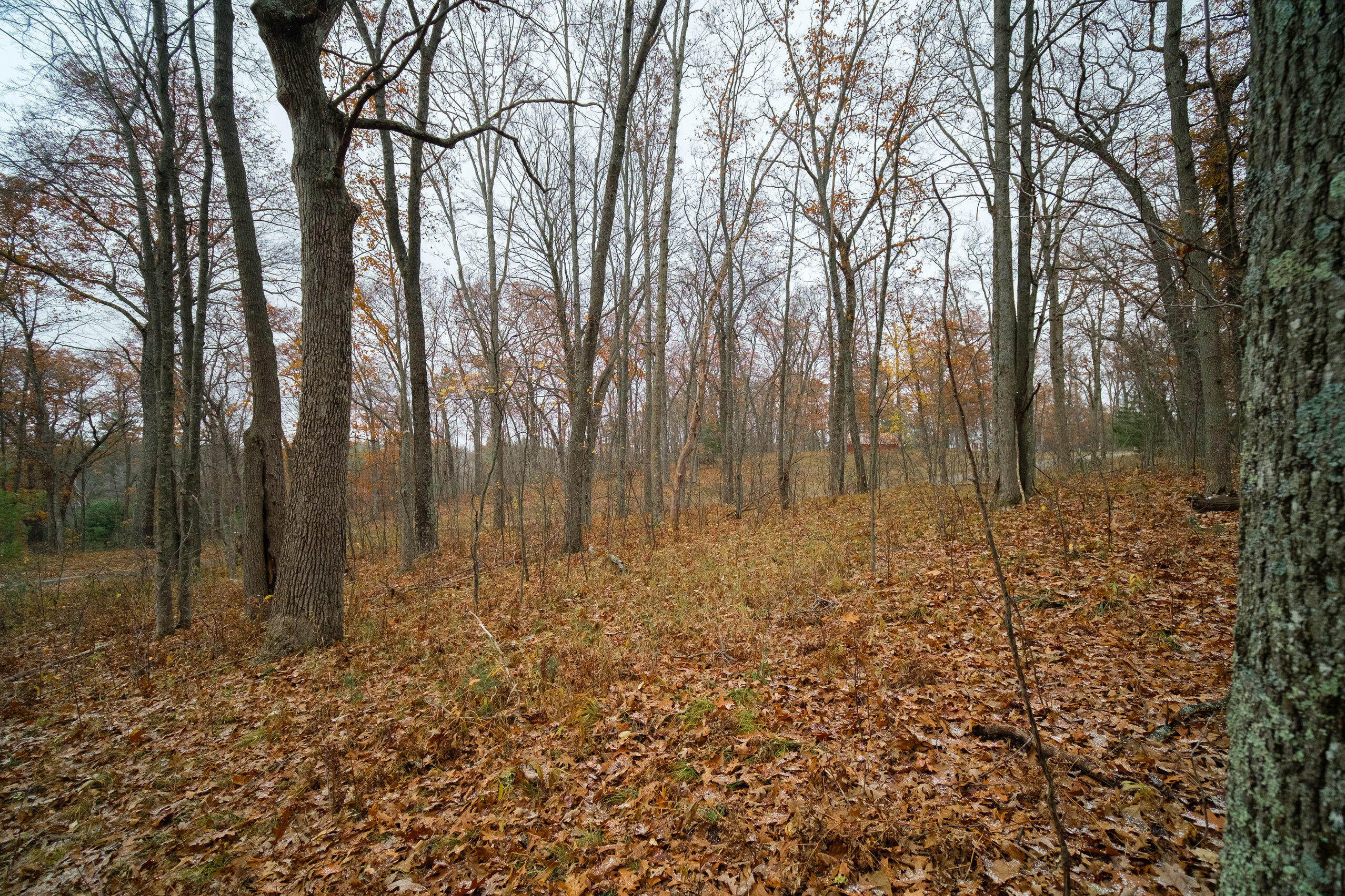 Hunter's Ridge Irons, MI 49644 - Photo 34 of 38 Additional views