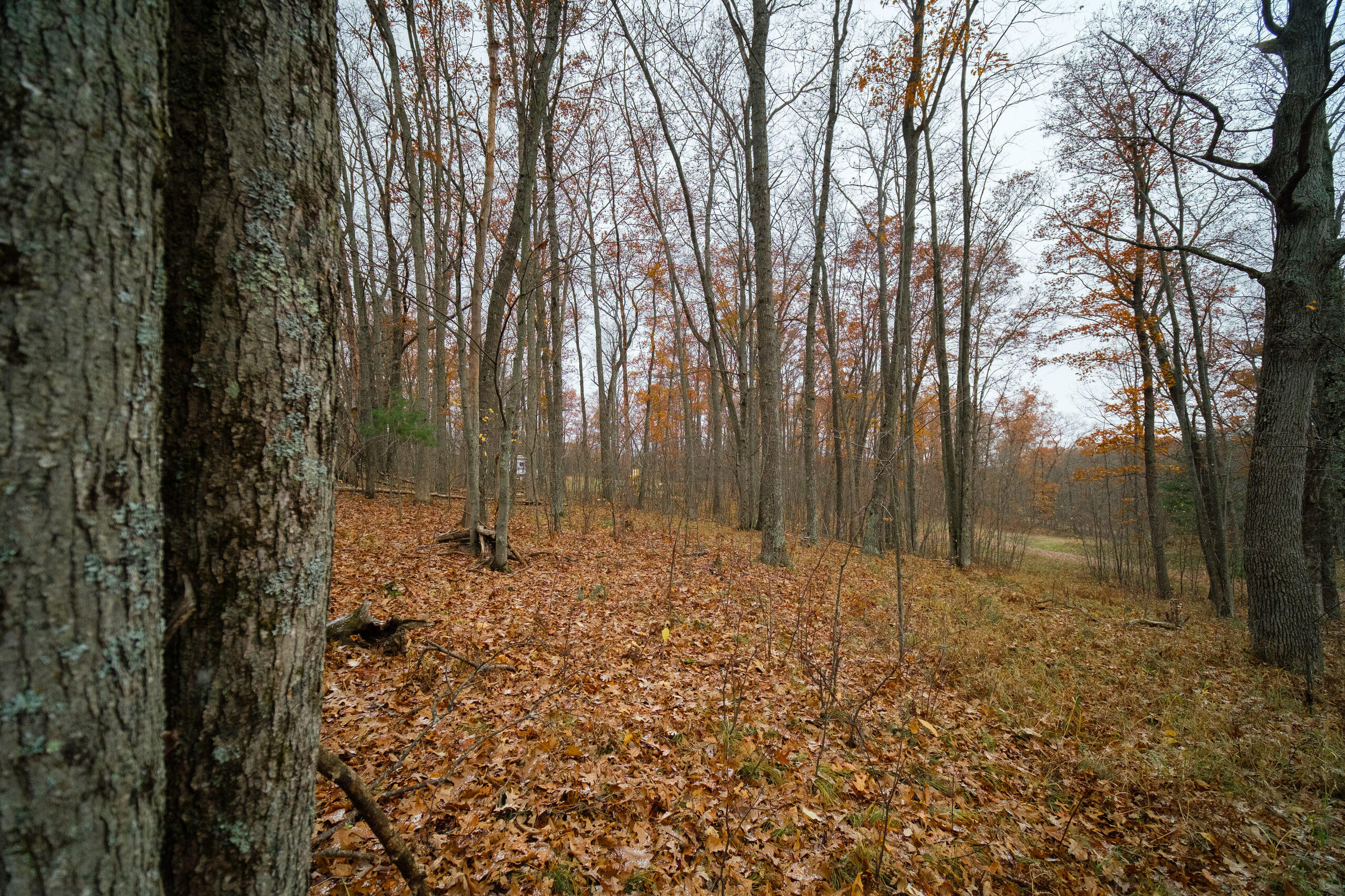 Hunter's Ridge Irons, MI 49644 - Photo 36 of 38 Additional views