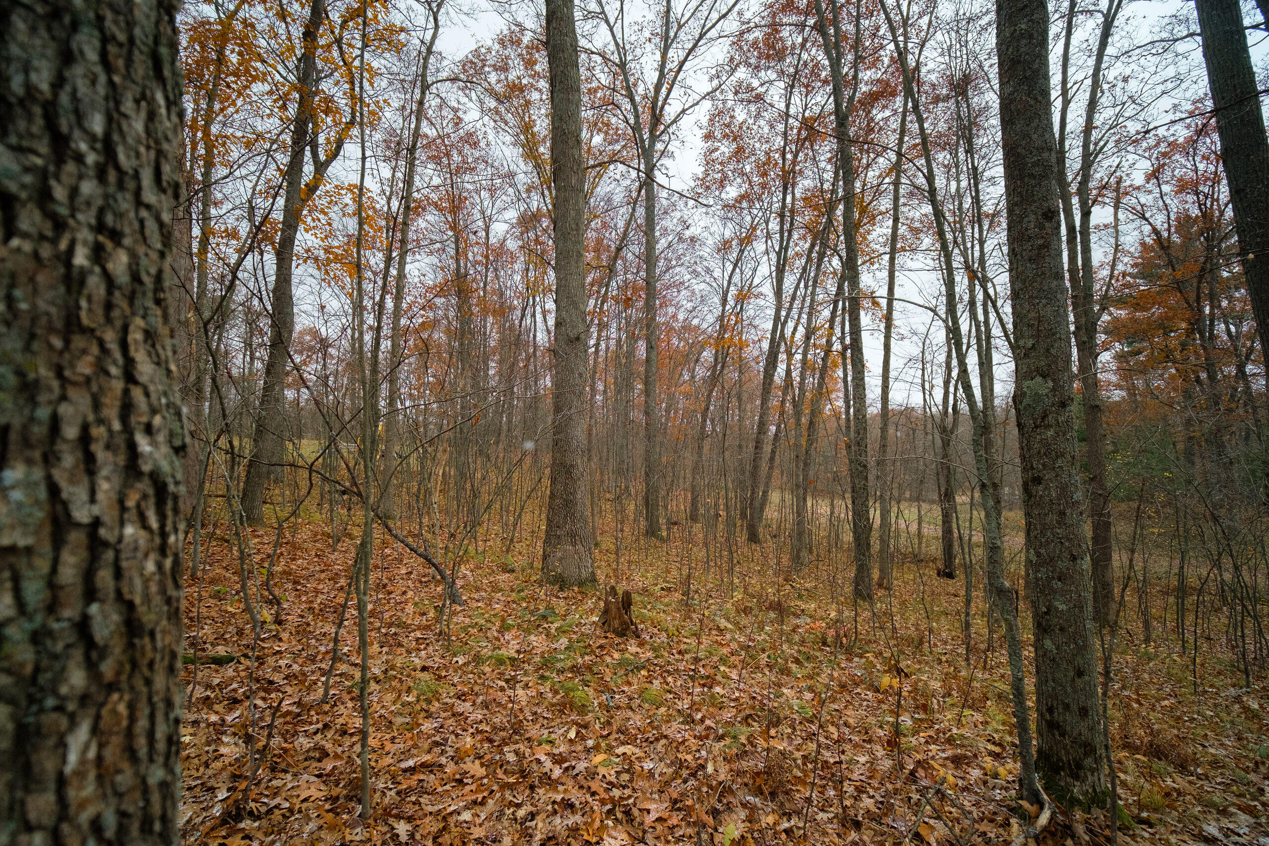 Hunter's Ridge Irons, MI 49644 - Photo 37 of 38 Additional views