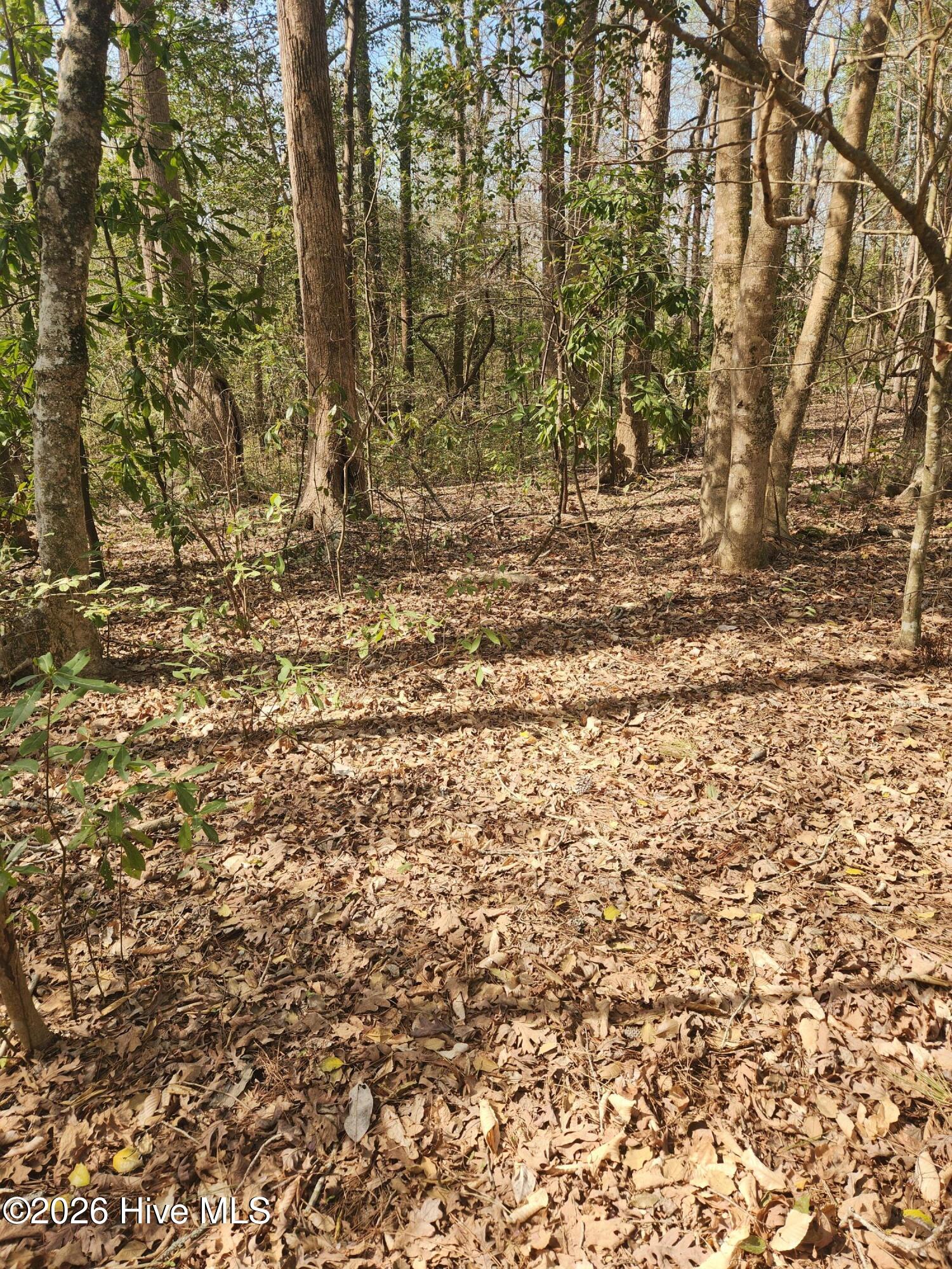 Lot 27 Peed Road Chocowinity, NC 27817 - Photo 3 of 8 20260323_112248