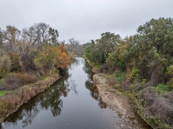 a view of a field of grass and trees